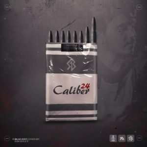 13Company - Caliber 24